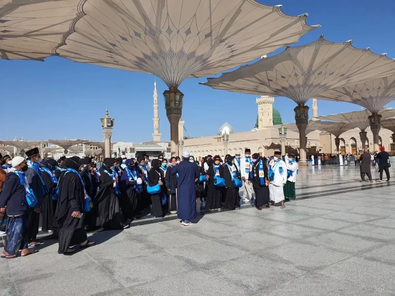 ezgif.com-gif-maker-67-768x576